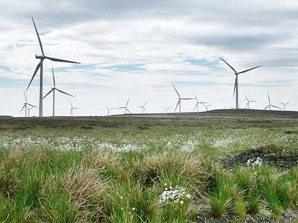 wind farm1.jpg