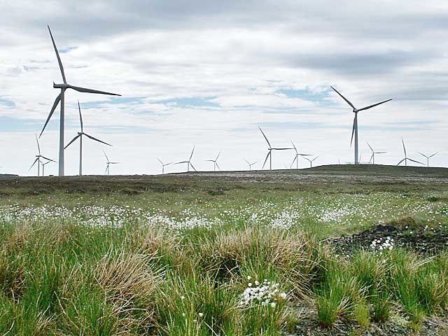 Wind farm1