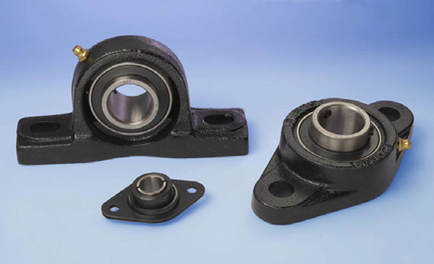 Bearing Design Considerations for the Food Processing Industry