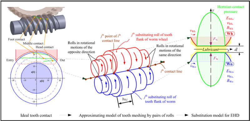 Simplified tribological modeling of the contacting teeth of worm gears